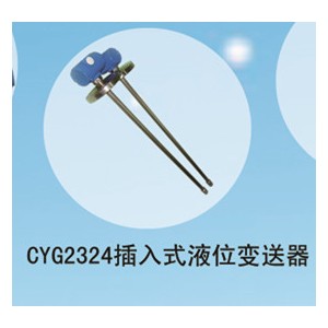 CYG2324插入式液位變送器