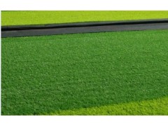 想要品質(zhì)好的華飛體育人造草坪就來(lái)