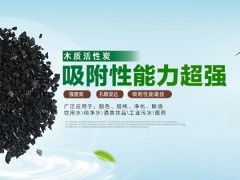 雅安地區服務高效的活性炭項目——