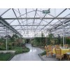 靠譜的陽光板溫室推薦——山東陽光板溫室建設