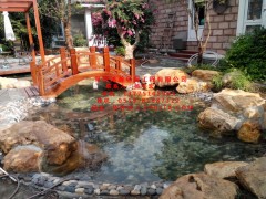 上海市魚池水過濾系統