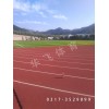 ：寧夏固原市塑膠跑道|塑膠跑道廠家價格|塑膠跑道材料