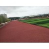 云南省臨滄市專業學校操場運動場透氣型塑膠跑道