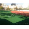 廣東省廣州市塑膠跑道|塑膠跑道廠家價格|塑膠跑道材料