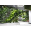 重慶植物墻設計_買植物墻當然是到重慶圖拉園林景觀工程