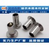 304半空心不銹鋼鉚釘 熱薦高品質(zhì)不銹鋼鉚釘質(zhì)量可靠