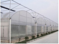 高性價薄膜溫室推薦|山西溫室蔬菜大