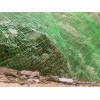 河北優(yōu)良的包塑邊坡防護(hù)網(wǎng) 山東包塑邊坡防護(hù)網(wǎng)