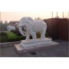 河北知名石象供應商 天津石雕大象