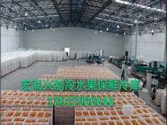 泉州冷庫保鮮庫哪家好   宏潤興制冷