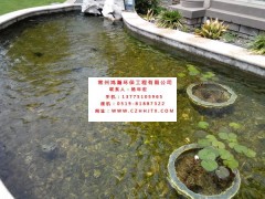 蘇州市小區景觀河水凈化過濾循環增