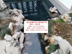 常州市小區景觀河水凈化過濾循環增