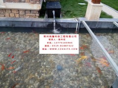 鎮江市別墅景觀魚池過濾設備配件直