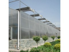oua紋洛式玻璃溫室大棚，山東葡萄溫