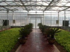 emm優質農業大棚設施，生態餐廳專業