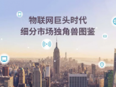 物聯(lián)網(wǎng)巨頭時代下細分市場獨角獸圖鑒