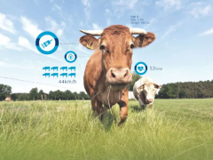 物聯網之“春”