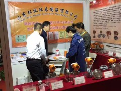 山東環儀攜HDS壓力測量儀表、溫度測量儀表、變送器等產品亮相2018北京多國儀表展