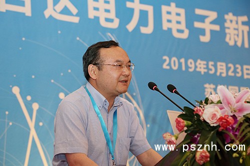 4-中科院電工所所長李耀華教授以“模塊化多電平變換器及應用”為題做特邀報告