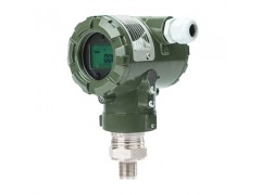 YC3351-B 智能高精度單晶硅直裝式表