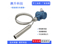 北京澳升 耐高溫鎧裝投入式液位變送