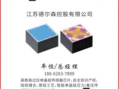 江蘇德爾森認領(lǐng)《圖頁儀表牌》黑桃2為專屬牌