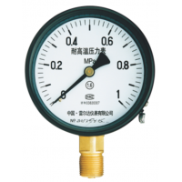 YT系列特種壓力表