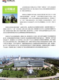 高效能燃料 _高端化工品_高性能材料 _92號(hào)車用汽油-山東京博石油化工有限公司