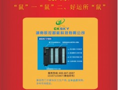 湖南辰控智能市場部經理：肖婷2020新春寄語 一百零八星報喜之天巧星