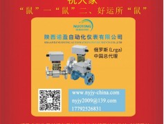 陜西諾盈自動化儀表  總經理  李軍榮2020新春寄語 一百零八星報喜之地樂星