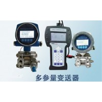 大生儀表廠價供應多參量變送器