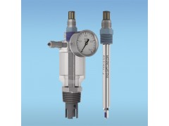 招遠(yuǎn)市大明儀表高溫高壓型PH傳感器 