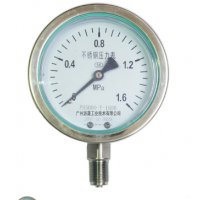 廣州派晟廠家直銷 不銹鋼壓力表