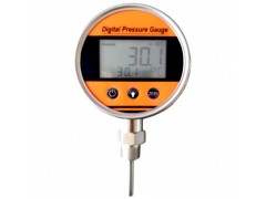 普瑞思電子PTB118數(shù)字溫度表 4位大