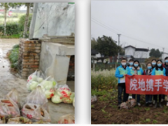 學習雷鋒好榜樣，團員青年獻愛心