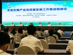 數字化養殖 | 大華股份助力養殖業創建現代化“美麗牧場”