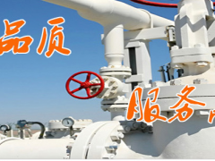 廈門精川 渦街流量計初次安裝注意事項及日常的維護保養(yǎng)