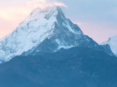 數(shù)字新基建，線上新經(jīng)濟(jì) 上海電氣“吸睛”上交會海外展
