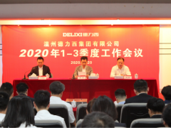 同比增長超12% 溫州德力西前三季度交出靚麗“答卷”