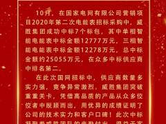 喜報 | 威勝集團成功中標電網項目超2.5億元！