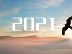 乘“峰”而上，智“盈”未來(lái) 盈峰環(huán)境邁上了2021新征程