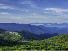 聚光科技碳監測助力實現“碳達峰”和“碳中和”目標