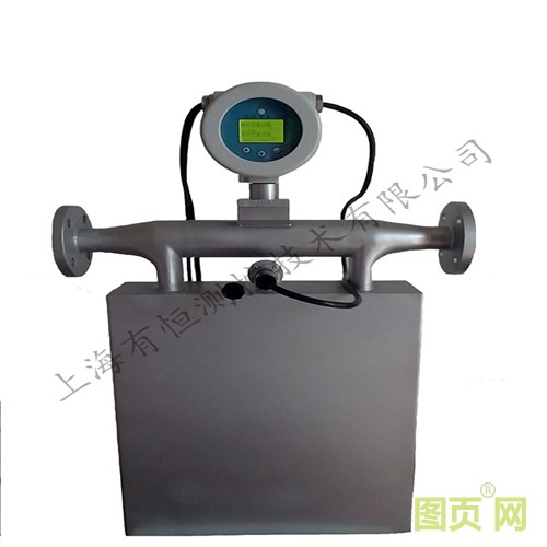 有恒質量流量計_副本