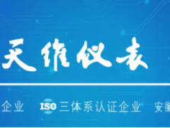 中國(guó)環(huán)博會(huì)閃耀亮相丨天維儀表與您共創(chuàng)萬物智聯(lián)時(shí)代