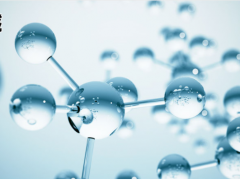 上海儀電科學儀器總酸及氨基態氮的全自動批量化測定