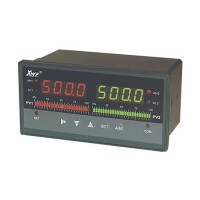 溫州新樂儀器儀表_XWP-TX823系列智能雙回路