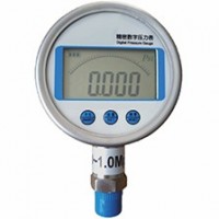 精密數字壓力表