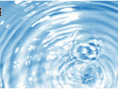 上海儀電科學儀器ZDY-504型水分測定儀