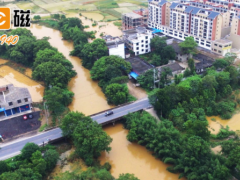 技術科技 智能檢測 上海儀電飲用水水質檢測及消毒劑檢測解決方案
