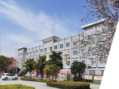 智能技術 助力發展 南陽副市長一行蒞臨微特電機進行視察調研